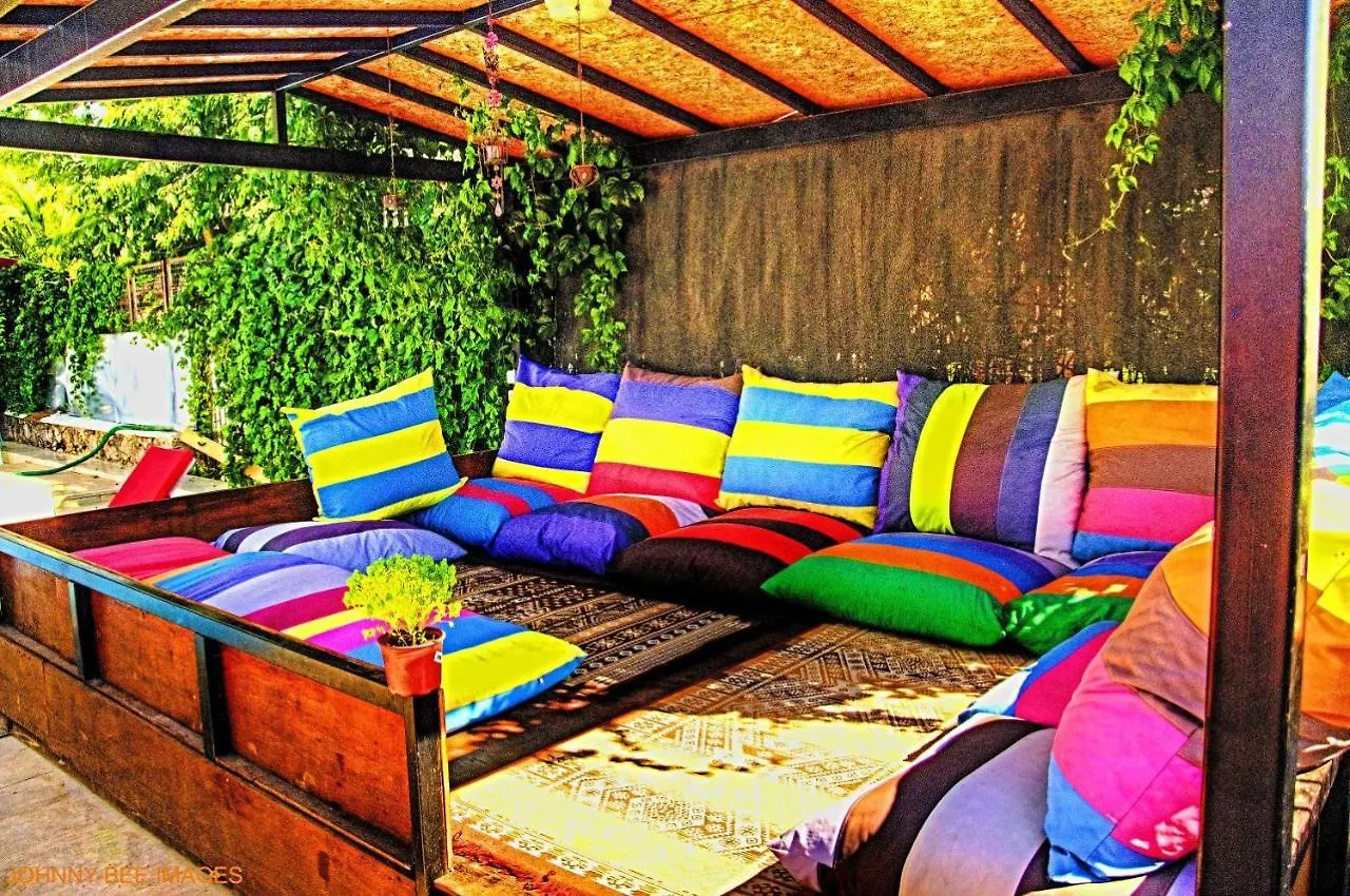 Paddys Apartments Ovacik Oludeniz